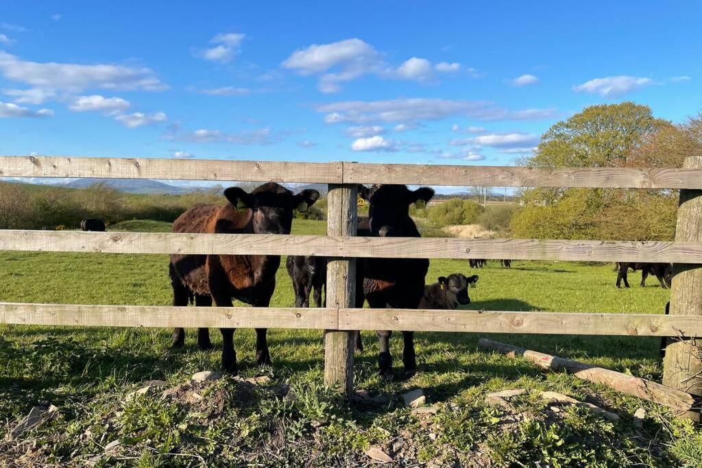 Galloway Farmstay Broughton Ньютон-Стьюарт Екстер'єр фото